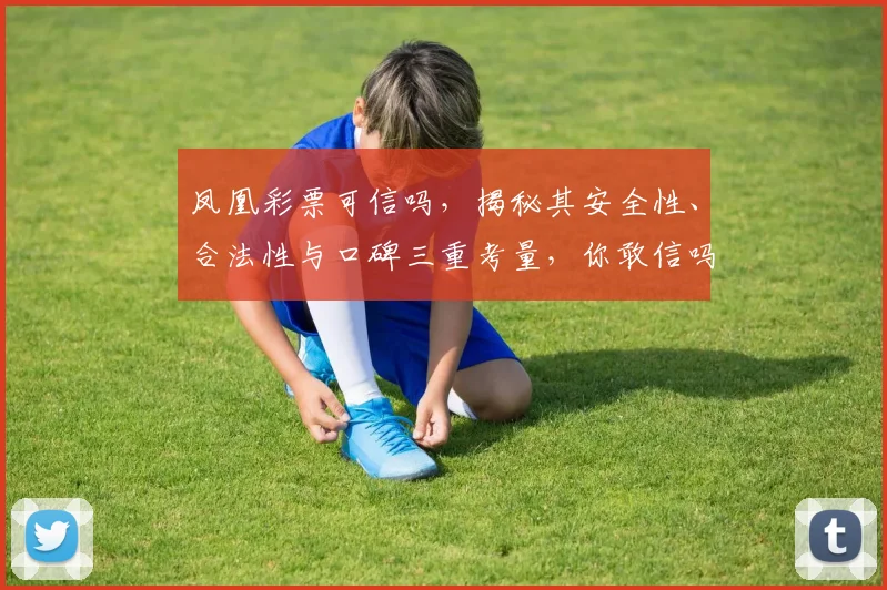 凤凰彩票可信吗，揭秘其安全性、合法性与口碑三重考量，你敢信吗