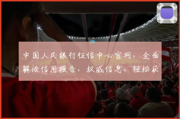 中国人民银行征信中心官网，全面解读信用报告，权威信息，轻松获取，三步搞定