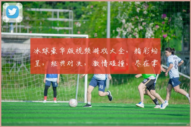 冰球豪华版视频游戏大全，精彩纷呈，经典对决，激情碰撞，尽在掌握，体验非凡
