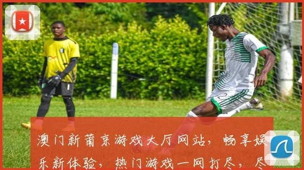 澳门新莆京游戏大厅网站，畅享娱乐新体验，热门游戏一网打尽，尽在指尖